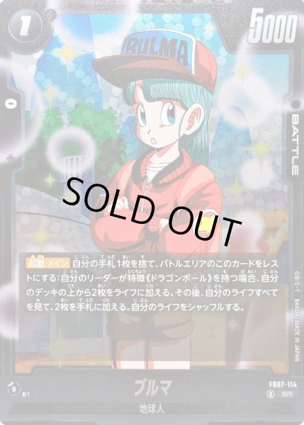 画像1: 〔状態A-〕ブルマ【SR】{FB07-114} (1)