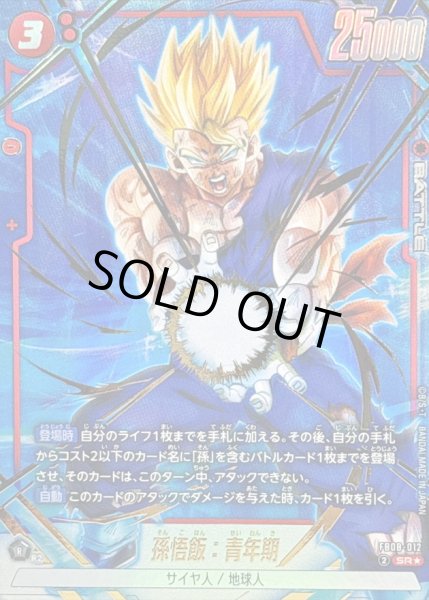 画像1: 孫悟飯：青年期(パラレル)【SR☆】{FB08-012} (1)