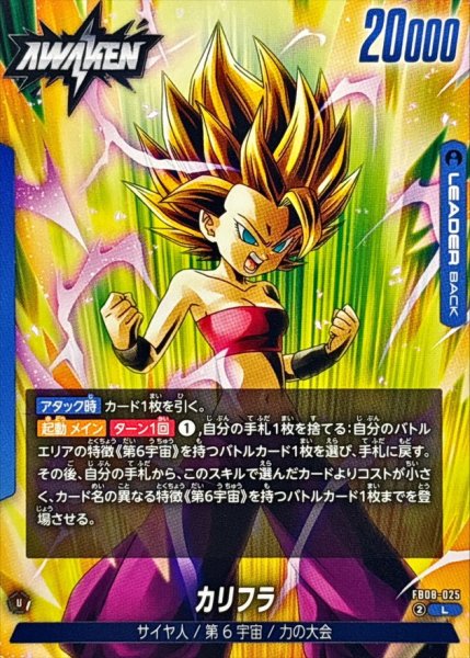 画像1: カリフラ【L】{FB08-025} (1)