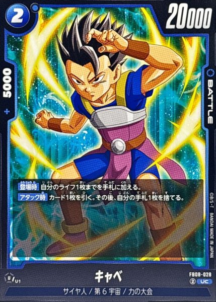 画像1: キャベ【UC】{FB08-028} (1)