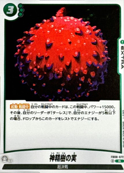 画像1: 神精樹の実【R】{FB08-072} (1)