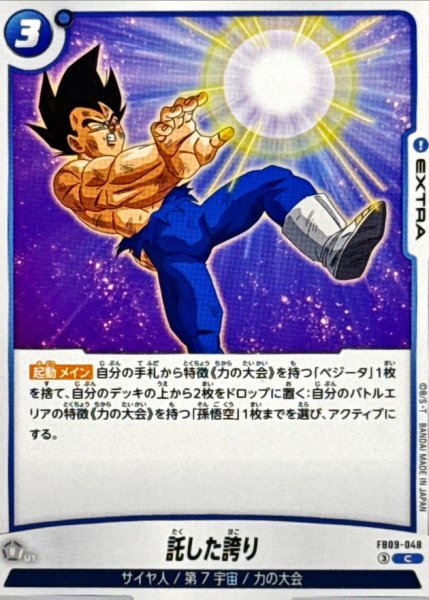 画像1: 託した誇り【C】{FB09-048} (1)