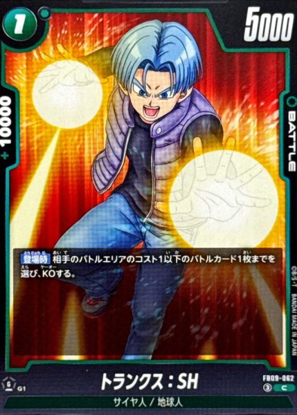 画像1: トランクス：SH【C】{FB09-062} (1)