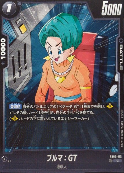 画像1: ブルマ：GT【C】{FB09-115} (1)