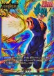 画像1: 〔状態A-〕ベジット(パラレル)【L☆】{FB10-025} (1)