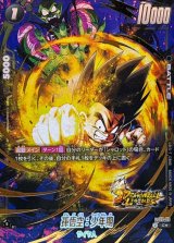 スタートデッキEX 「シャロット」「ジブレット」 - カード