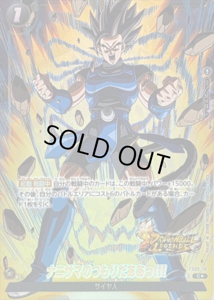 画像1: 〔状態B〕ナニサマのつもりだああっ!!!(パラレル/金文字)【C☆】{FS09-18} (1)