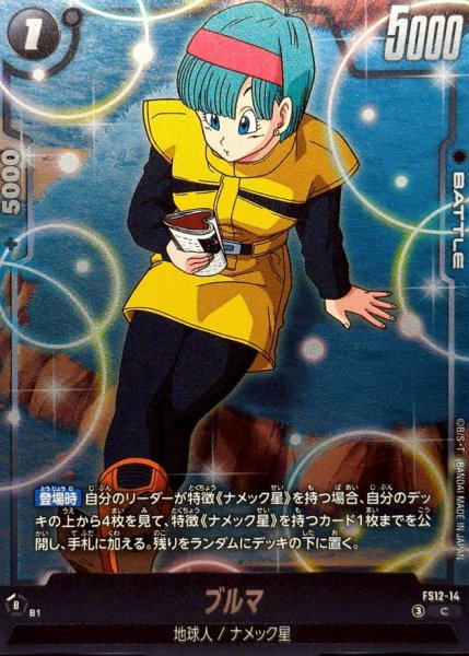 画像1: ブルマ【C】{FS12-14} (1)