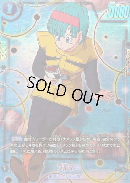 画像1: ブルマ(パラレル)【C☆】{FS12-14} (1)