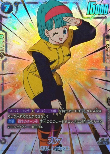 画像1: ブルマ(パラレル)【C☆】{FS12-15} (1)